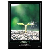 Seco® "Growth" Framed Motivational Posters
